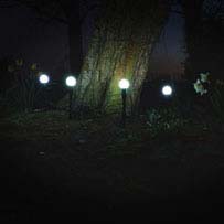 Lucia Solar Globe Lights (Set of 4 - White)