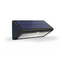 Eco Wedge Pro Solar Security Light